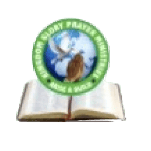 Partner Logo 13